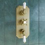 Brushed Brass 2 Outlet Wall Mounted Thermostatic Mixer Shower Set with Hand Shower - Cambridge