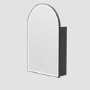 Single Door Black Bathroom Mirror Cabinet with Lights Demister & Shaver Socket 500 x 800mm - Empire