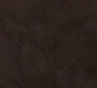 Brown Velvet