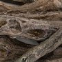 Decorative Logs for Amberglo Fire