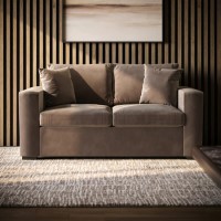 2 Seater Pull-Out Sofa Bed in Mink Velvet - Layton 