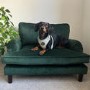 Dog Sofa Bed in Green Velvet - Payton