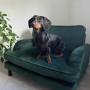 Dog Sofa Bed in Green Velvet - Payton