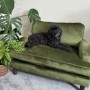 Dog Sofa Bed in Olive Green Velvet - Payton