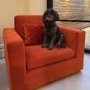 Dog Sofa Bed in Burnt Orange Velvet - Hudson 