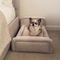 Small Dog Bed in Cream Textured Fabric with Washable Cover - Naomi