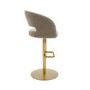 Curved Mink Matt Velvet Adjustable Swivel Bar Stool with Gold Base - Runa