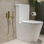 Brushed Brass Thermostatic Douche Shower / Bidet Shower Spray Kit - Arissa