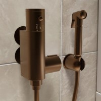 Brushed Bronze Thermostatic Douche Shower / Bidet Shower Spray Kit - Arissa