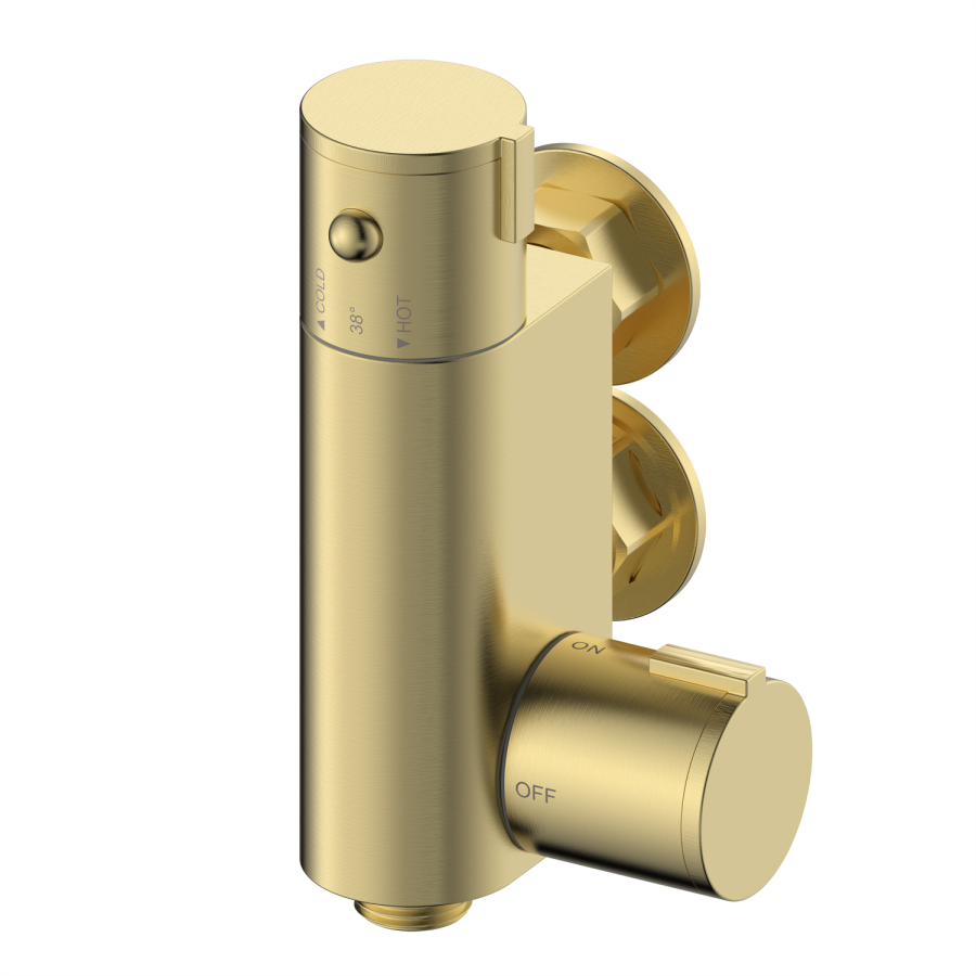 Brushed Brass Thermostatic Douche Shower / Bidet Shower Spray Kit - Arissa