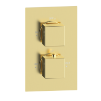 Brushed Brass 1 Outlet Concealed Thermostatic Shower Valve with Dual Control - Zana