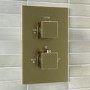 Brushed Brass 1 Outlet Concealed Thermostatic Shower Valve with Dual Control - Zana