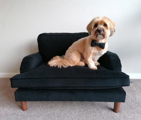 Pet beds